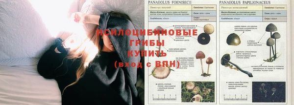 круглые Богородск