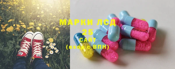 амф Богданович