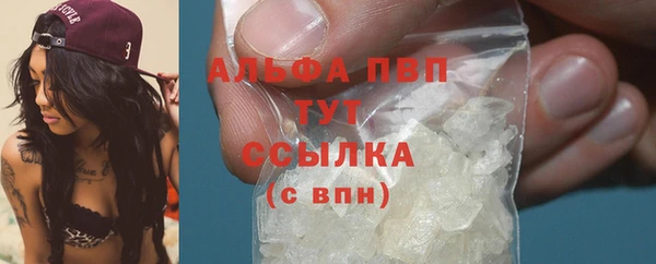 амф Богданович