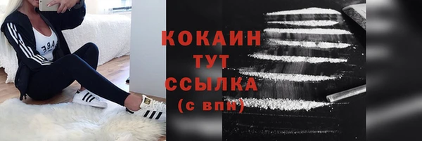 ALPHA PVP Богородицк