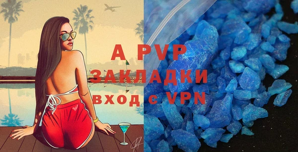 амф Богданович