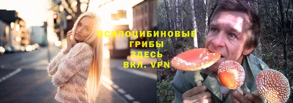 амф Богданович