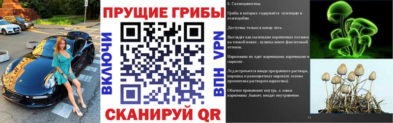 Псилоцибиновые грибы прущие грибы  Свободный 